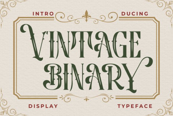 Vintage Binary Display Typeface Font
